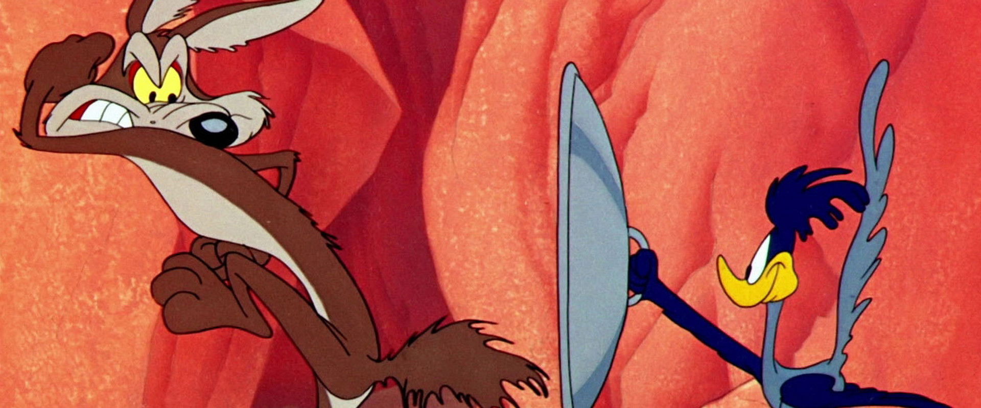 Fast and Furry-ous backdrop