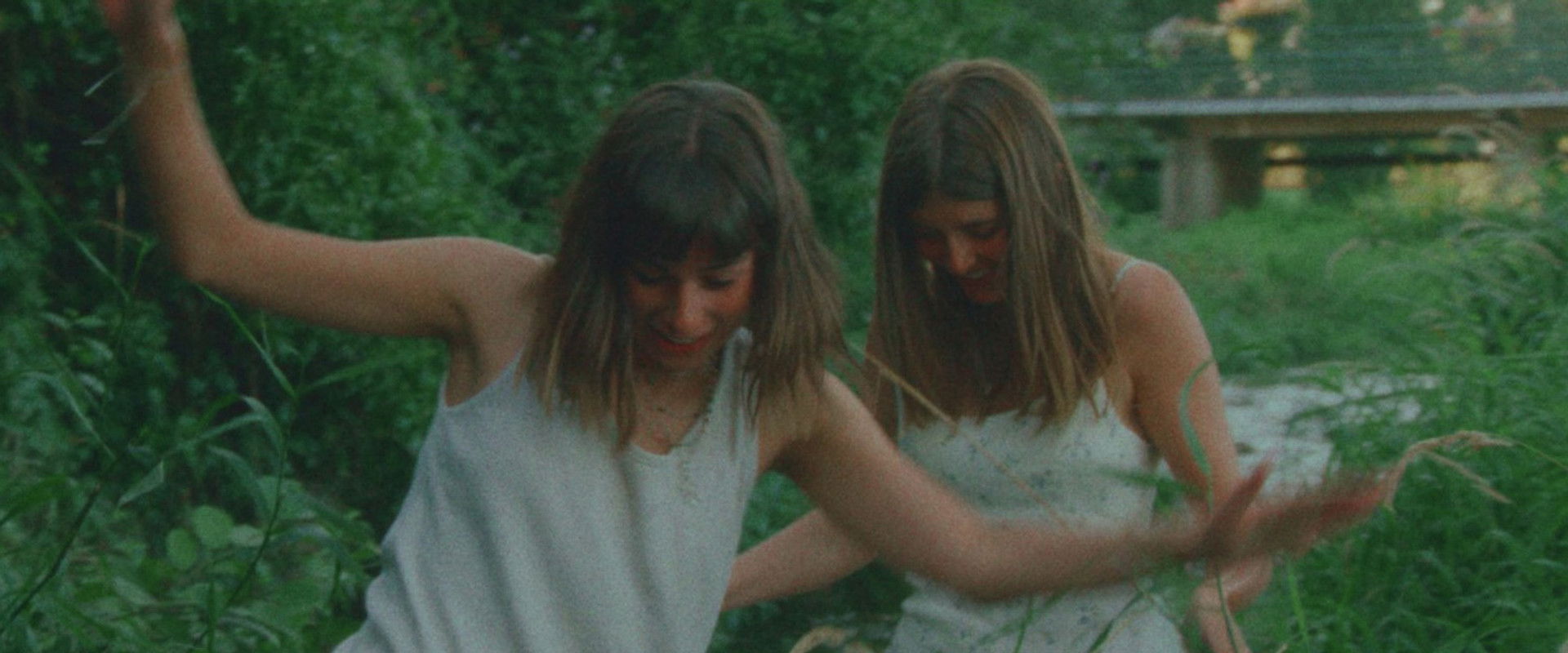 Butterflies backdrop