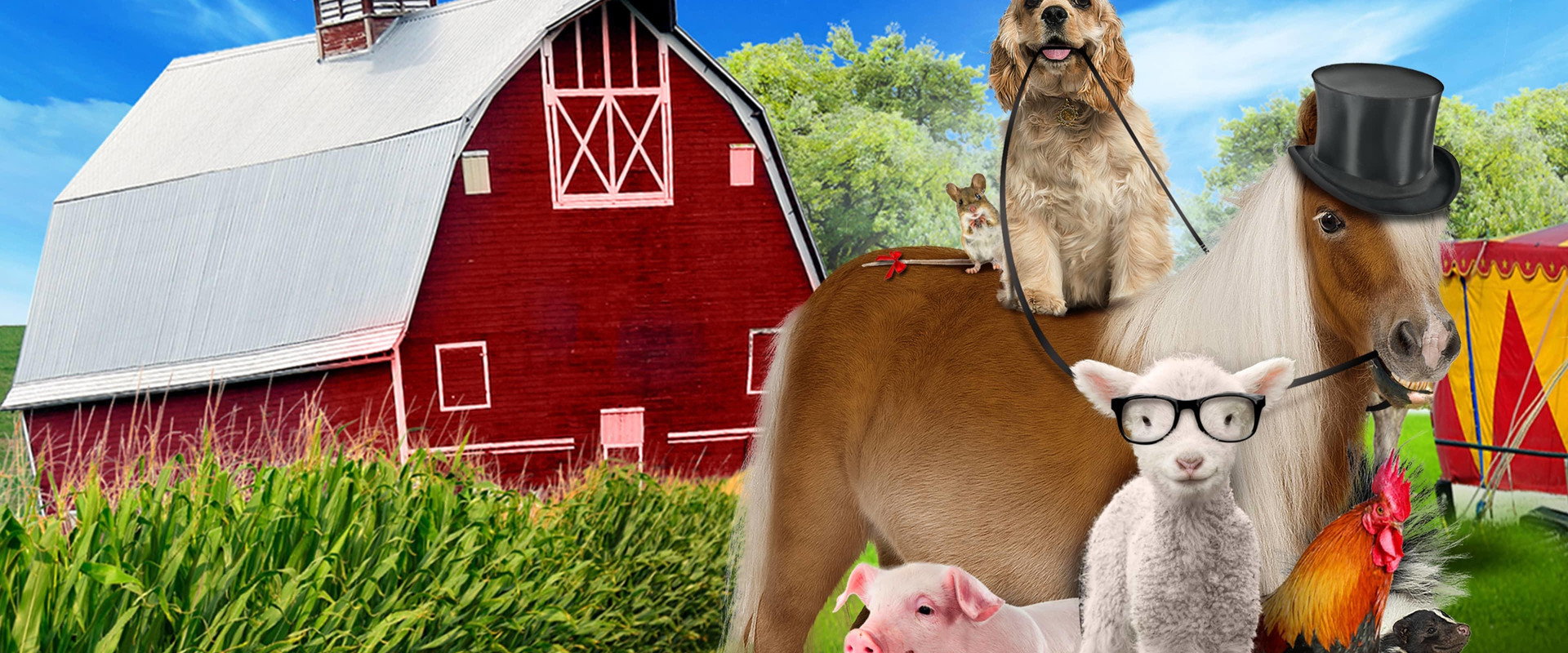 A Dog and Pony Show backdrop