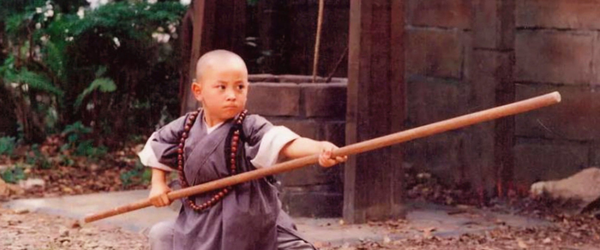 Shaolin Popey backdrop