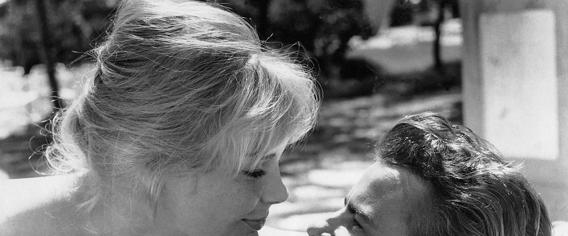 Ship of the Dead backdrop