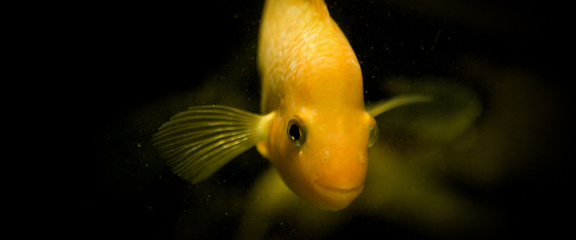 Taking Stock backdrop