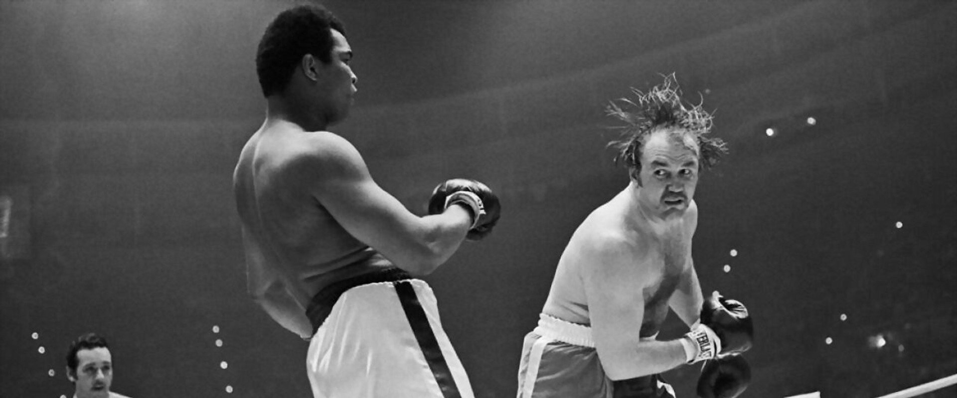 The Real Rocky backdrop