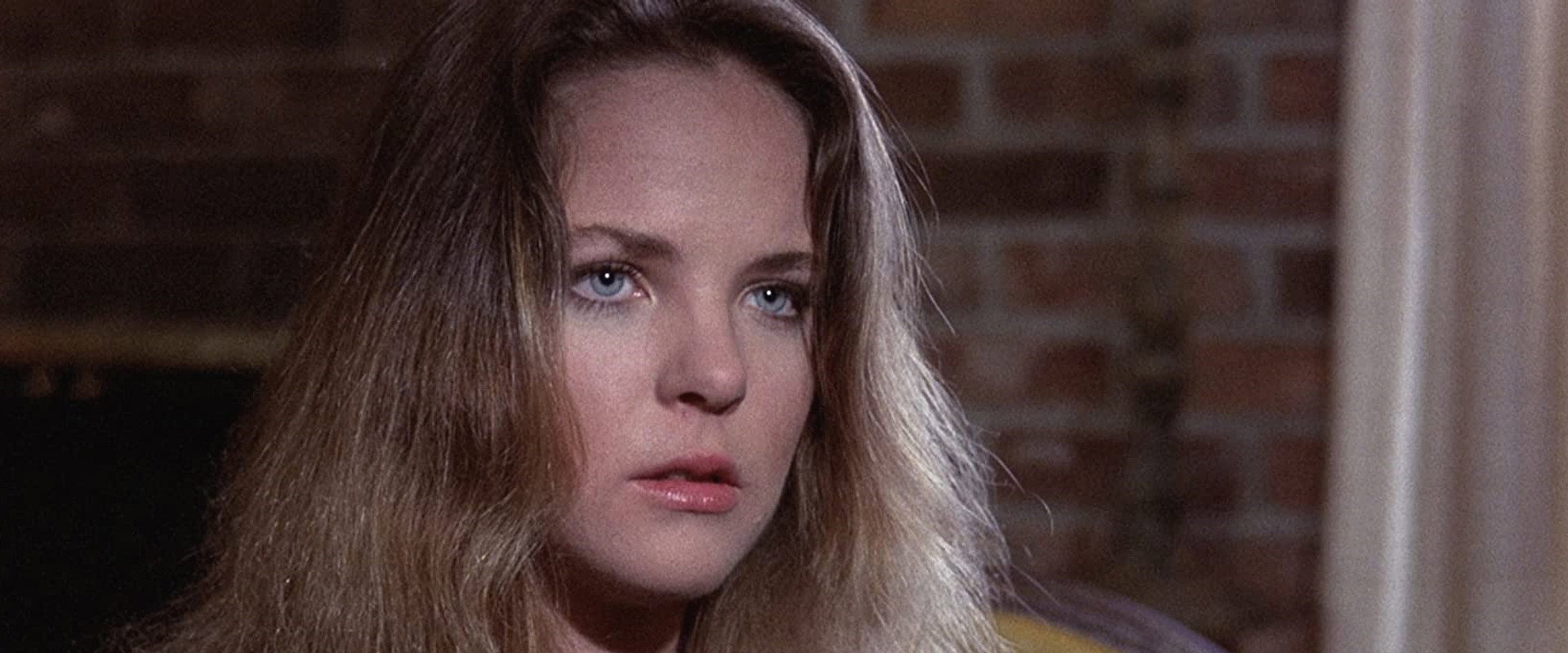 Happy Birthday to Me backdrop