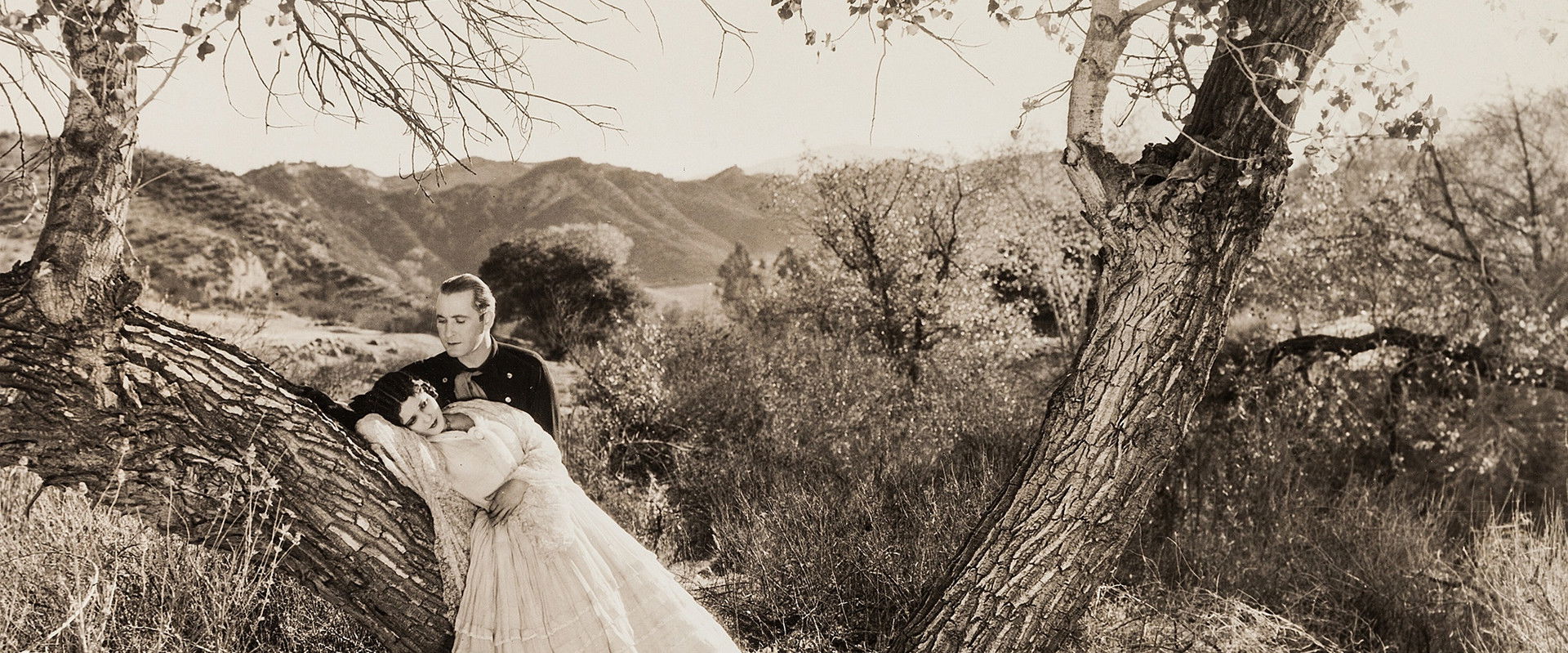 The Desert Rider backdrop