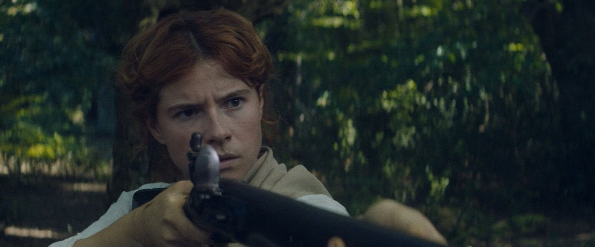 A Battle In Waterloo backdrop