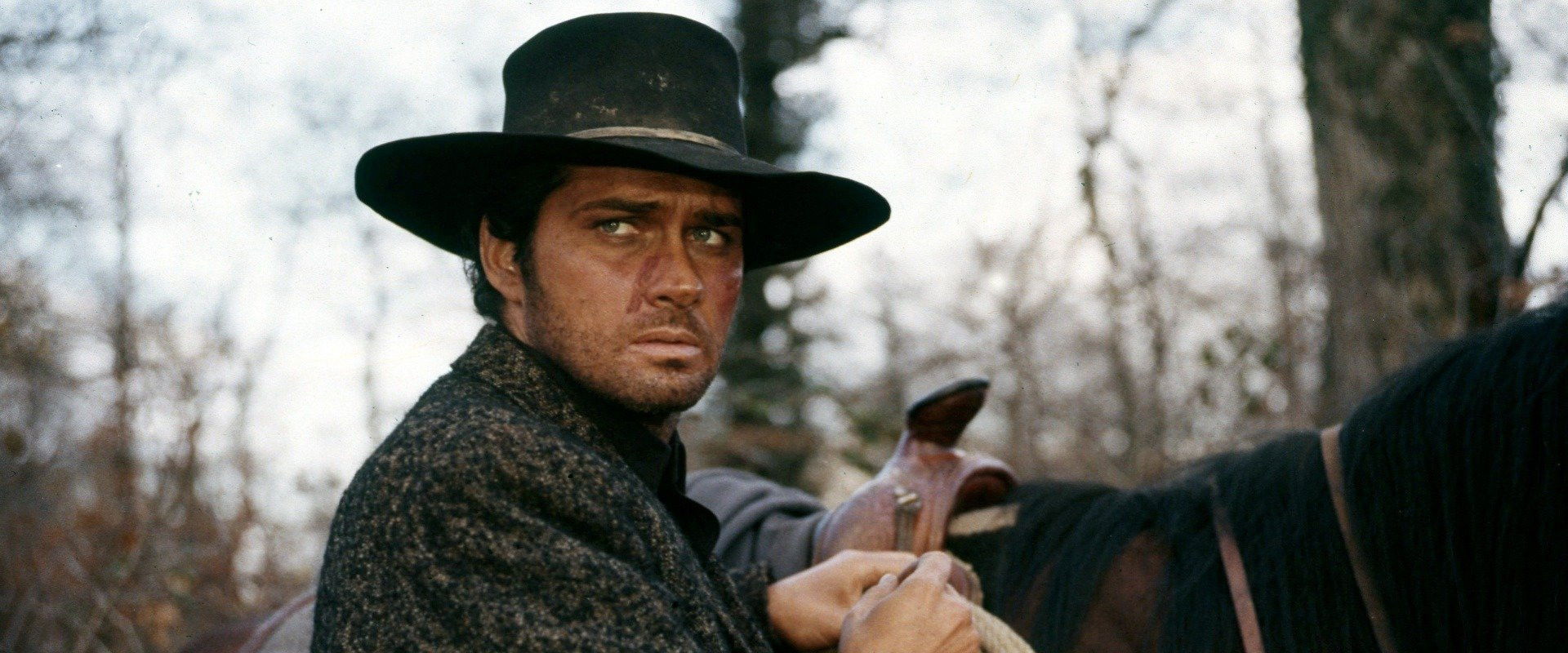 Today We Kill, Tomorrow We Die! backdrop