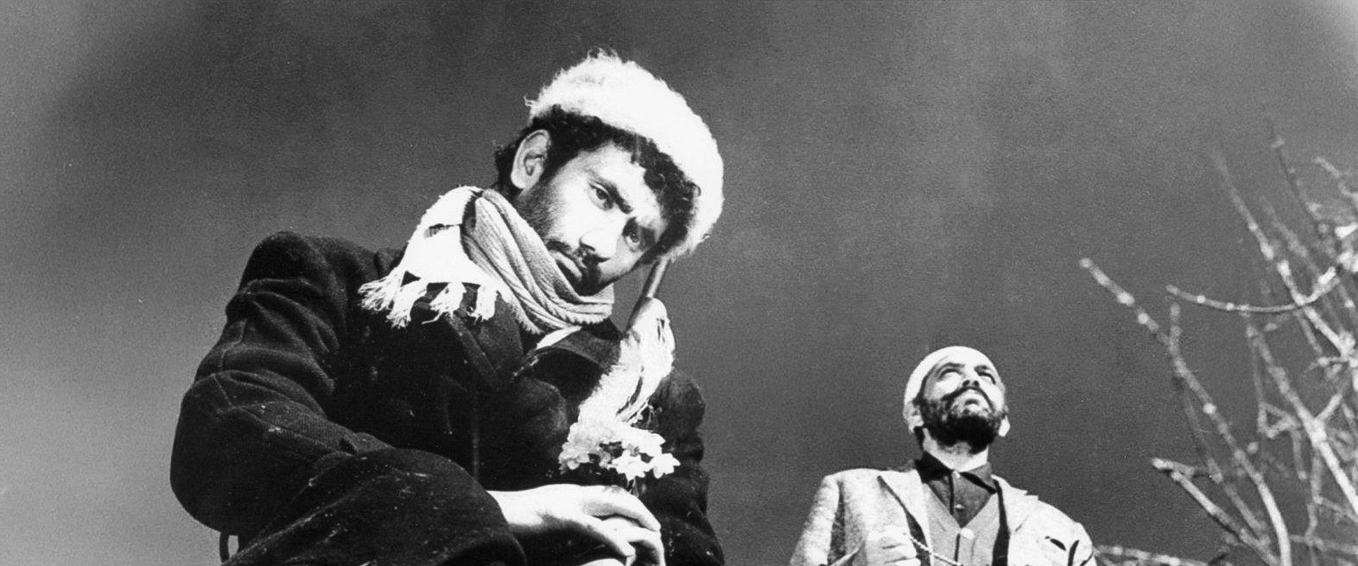 Bride of the Earth backdrop