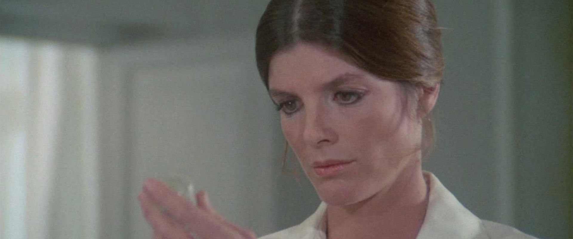 Chance and Violence backdrop