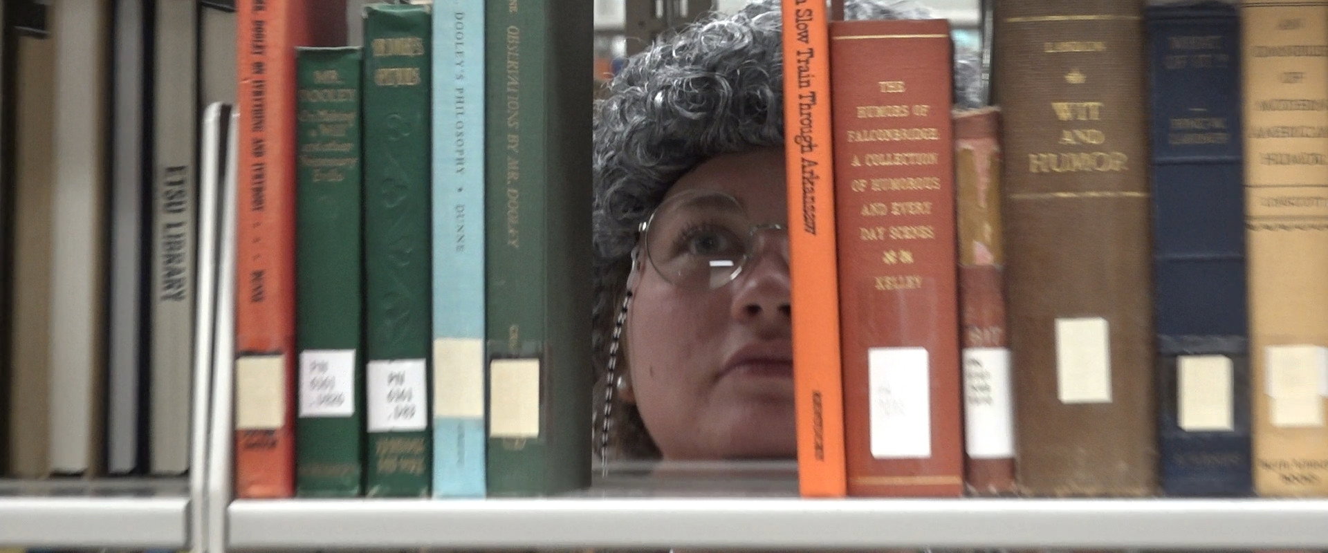 The Librarian Stops the Drug Problem backdrop