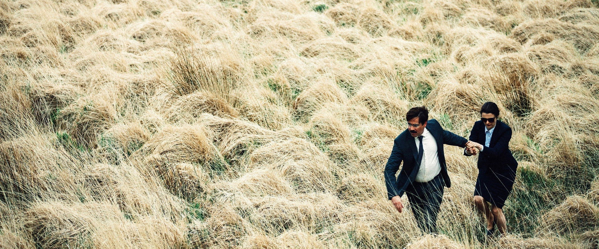 The Lobster backdrop