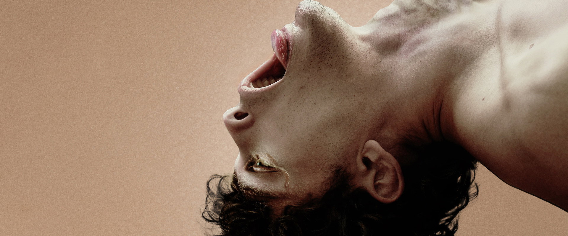 Swallowed backdrop