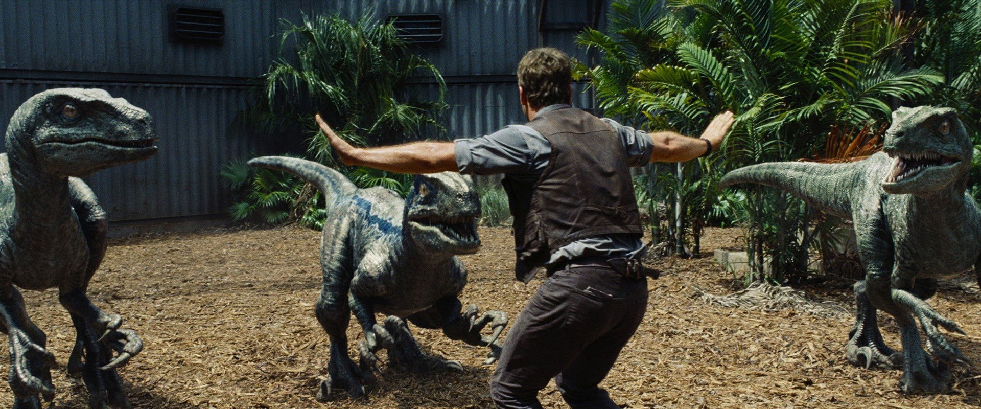 Jurassic World backdrop