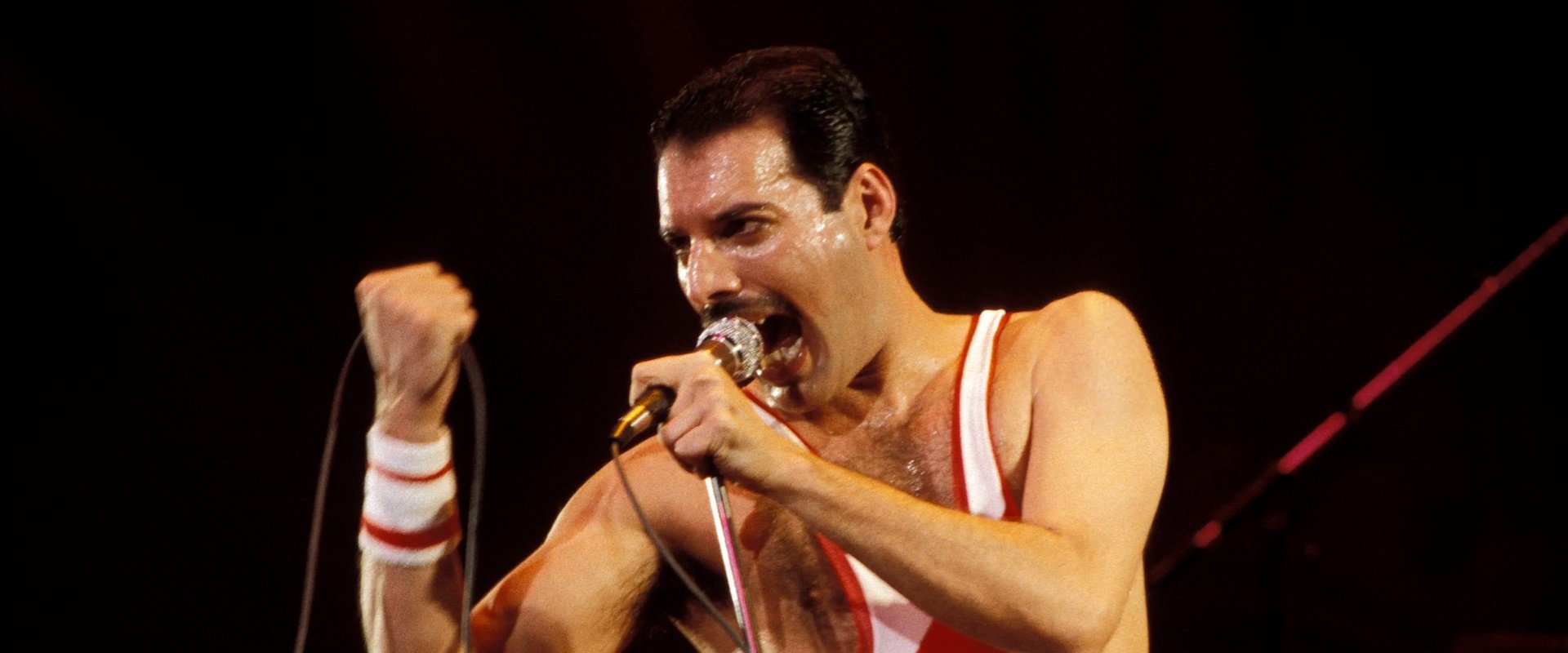 Freddie Mercury: The Final Act