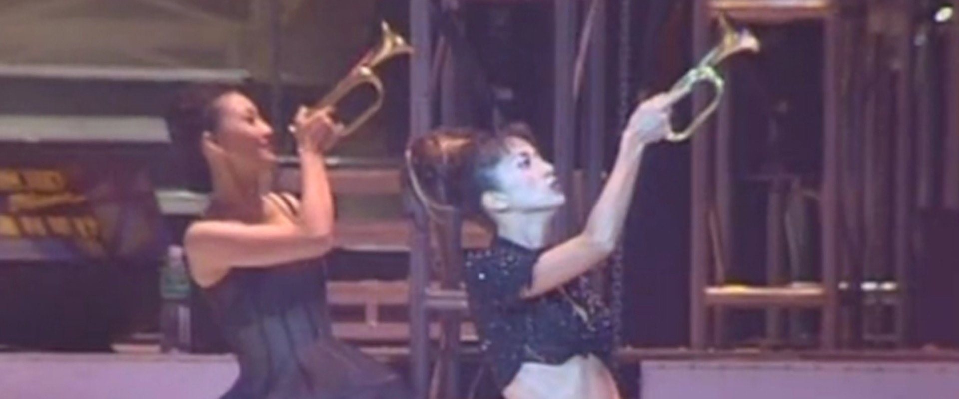 梅艳芳一个美丽的回响演唱会 backdrop