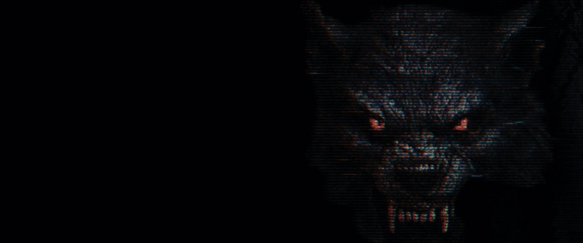 The Fairfield County Four backdrop