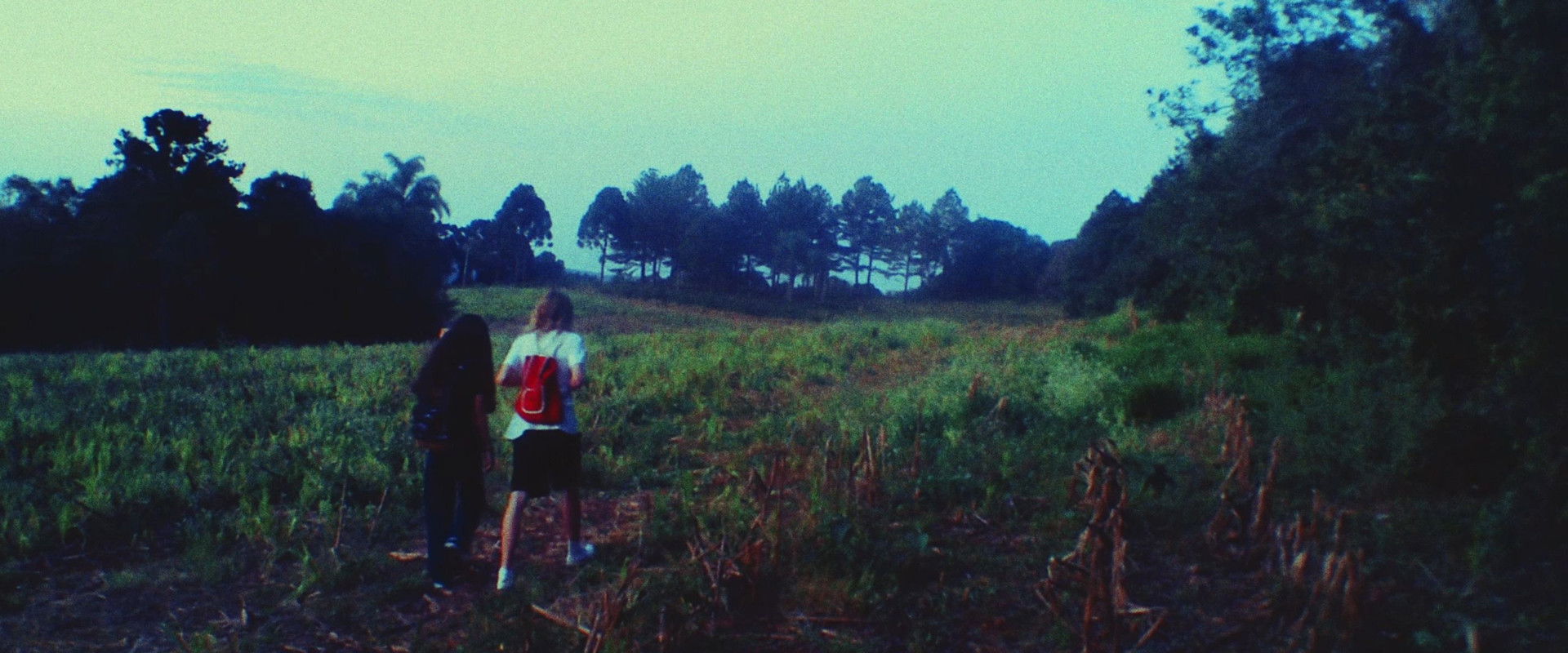 The Fake News Gnome backdrop