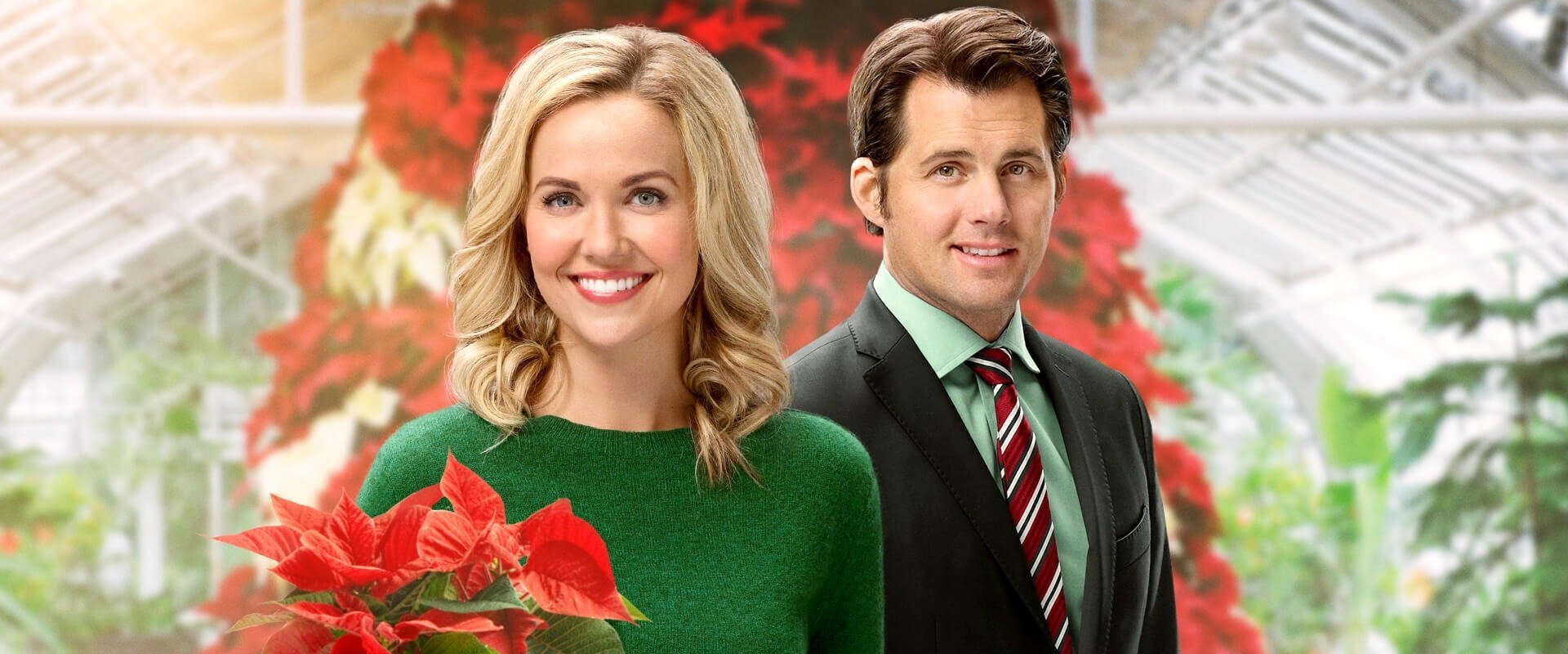 Hearts of Christmas backdrop