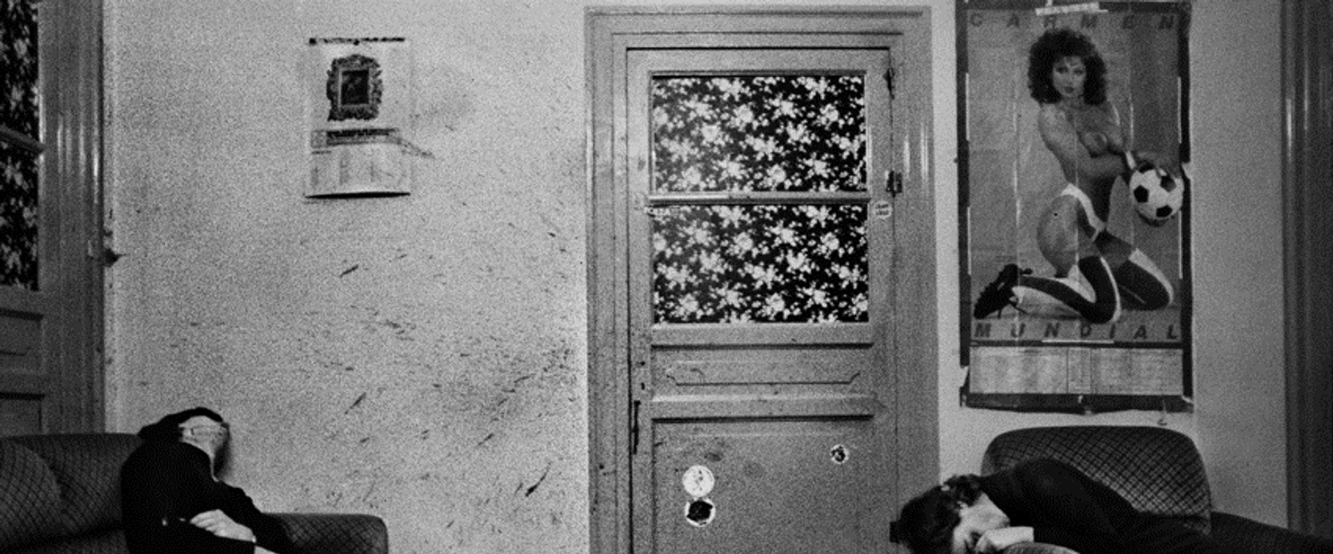 Shooting the Mafia backdrop