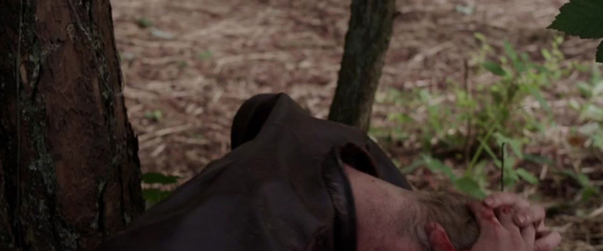 The Lost Viking backdrop