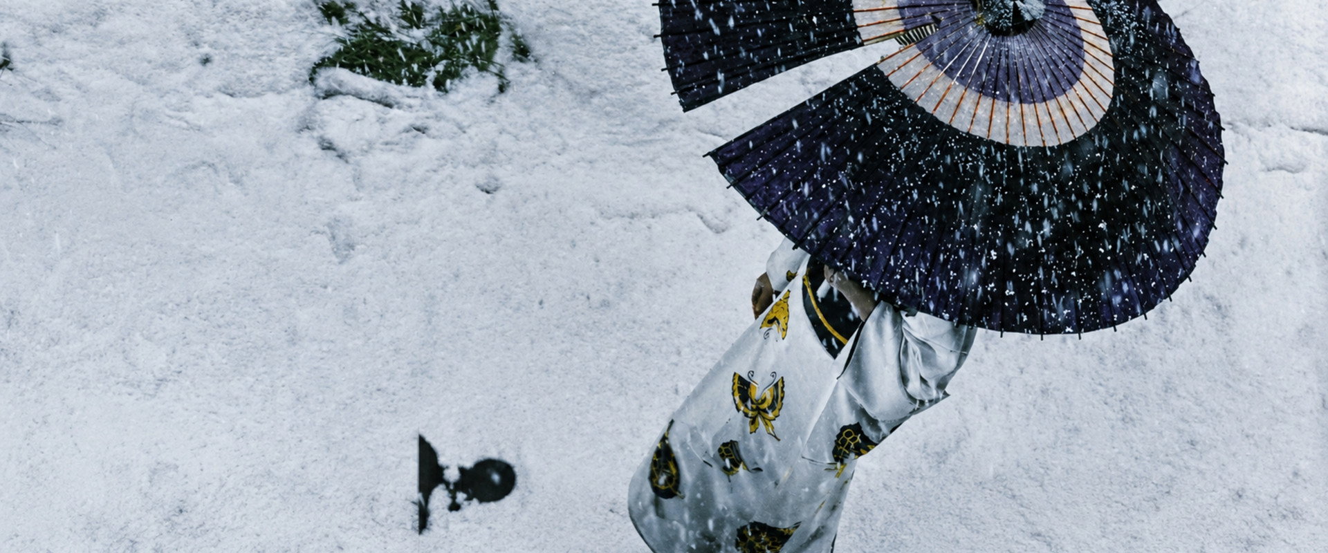 Lady Snowblood backdrop