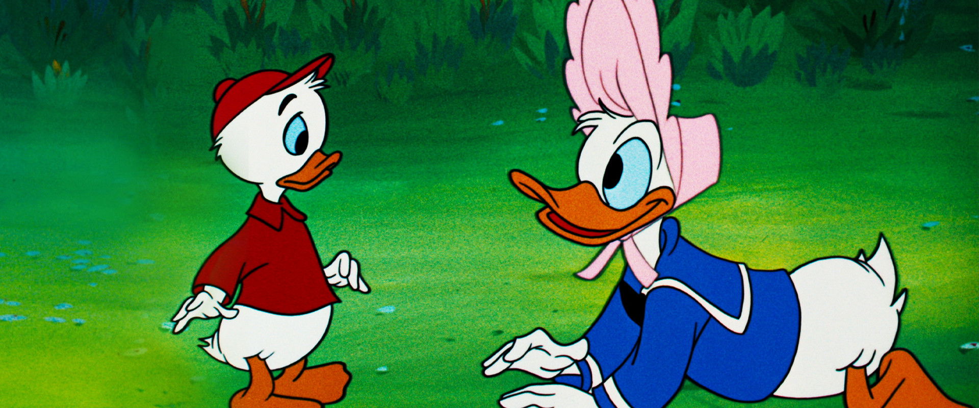 Don's Fountain of Youth backdrop