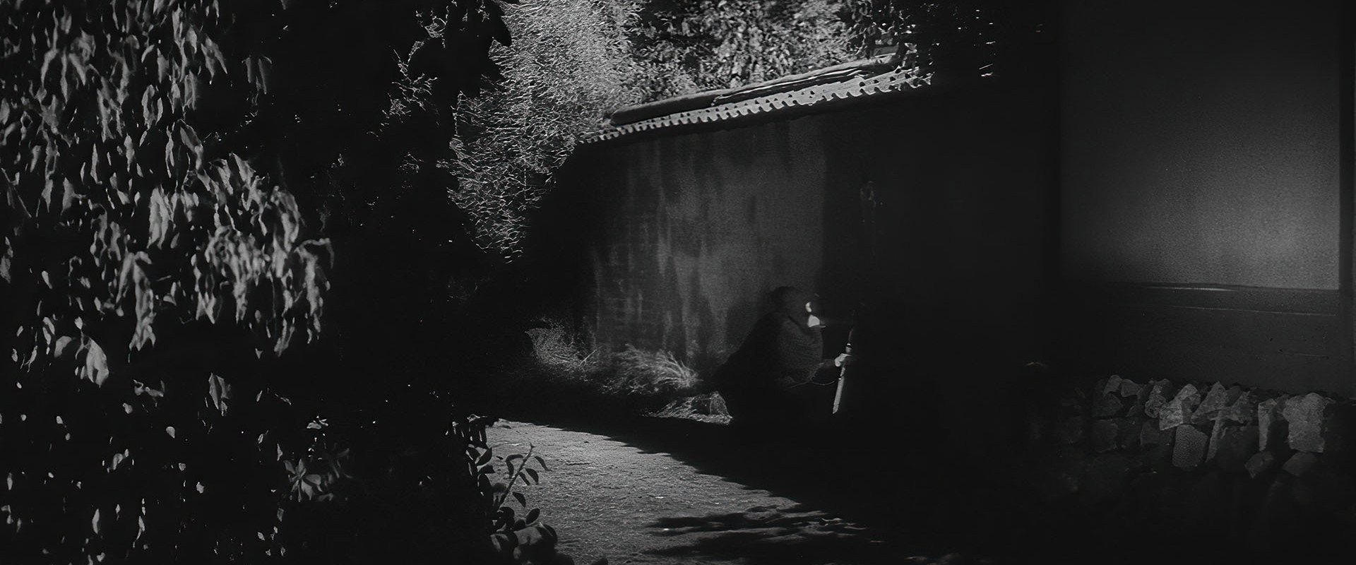 Ninja, A Band of Assassins backdrop