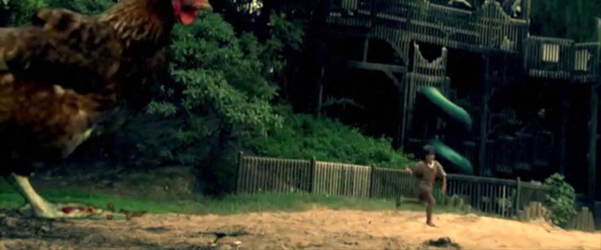 Chicken Park backdrop