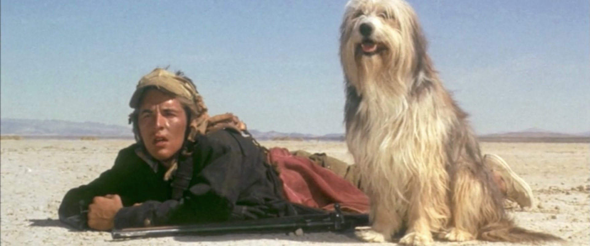 A Boy and His Dog backdrop