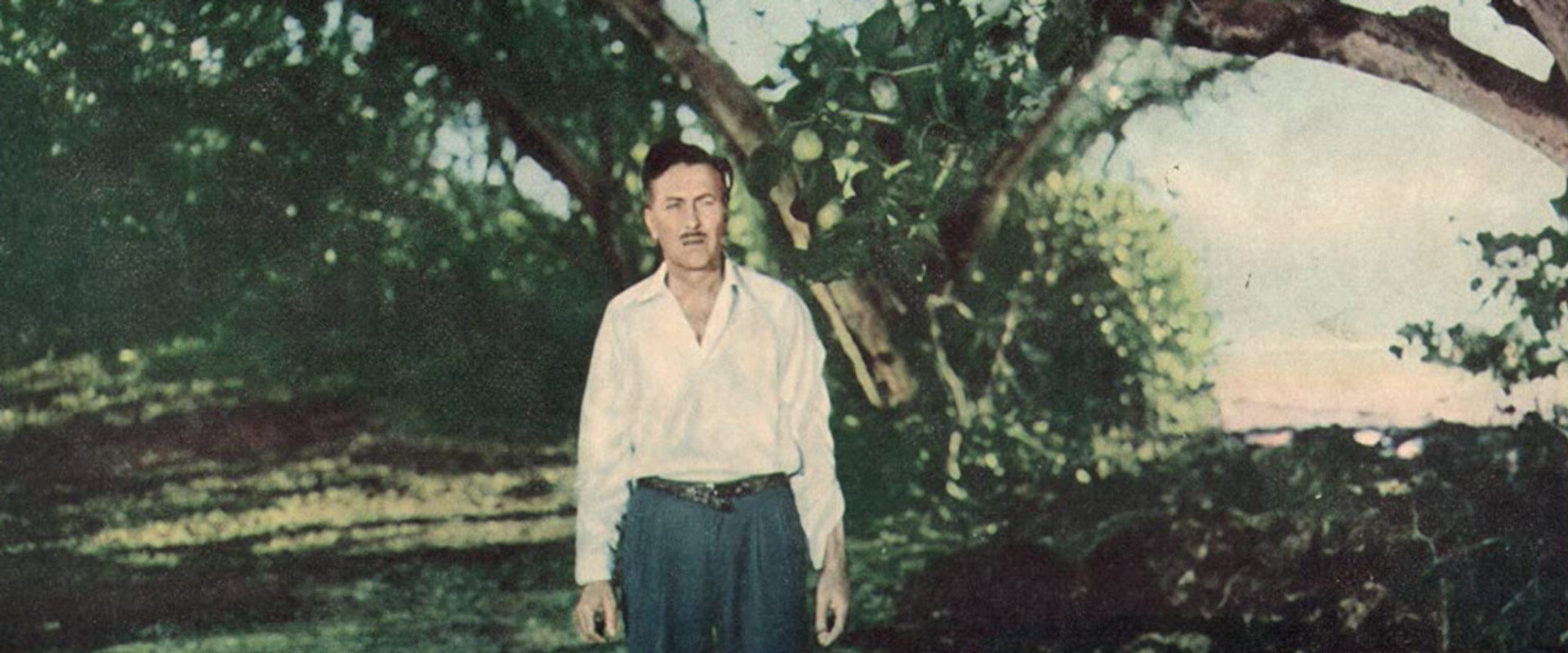 Lost Lagoon backdrop