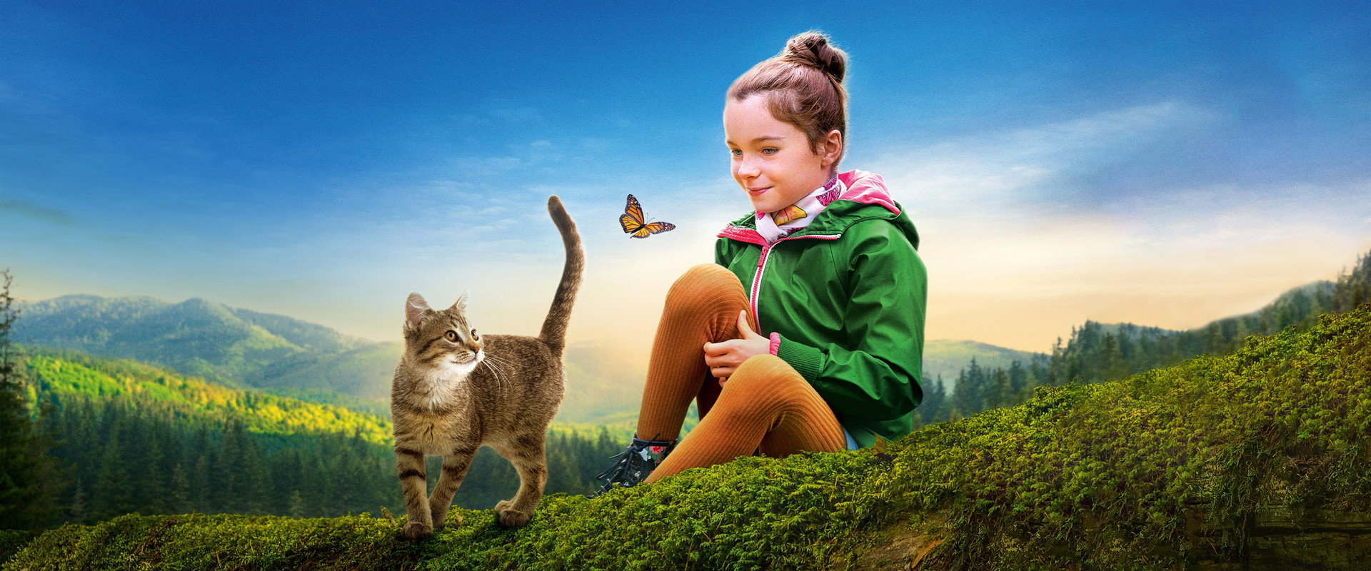 A Cat's Life backdrop