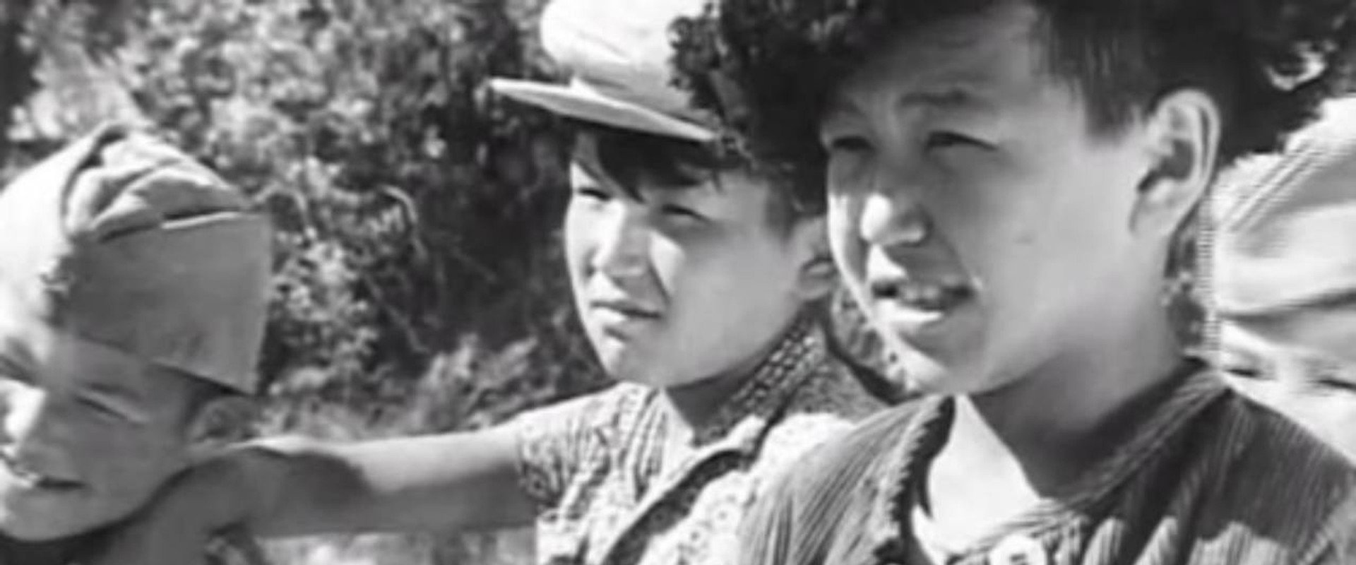 Little Soldier backdrop