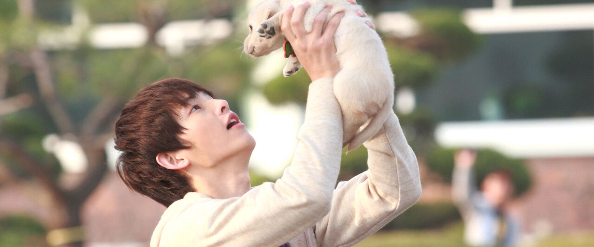 Hearty Paws 2 backdrop