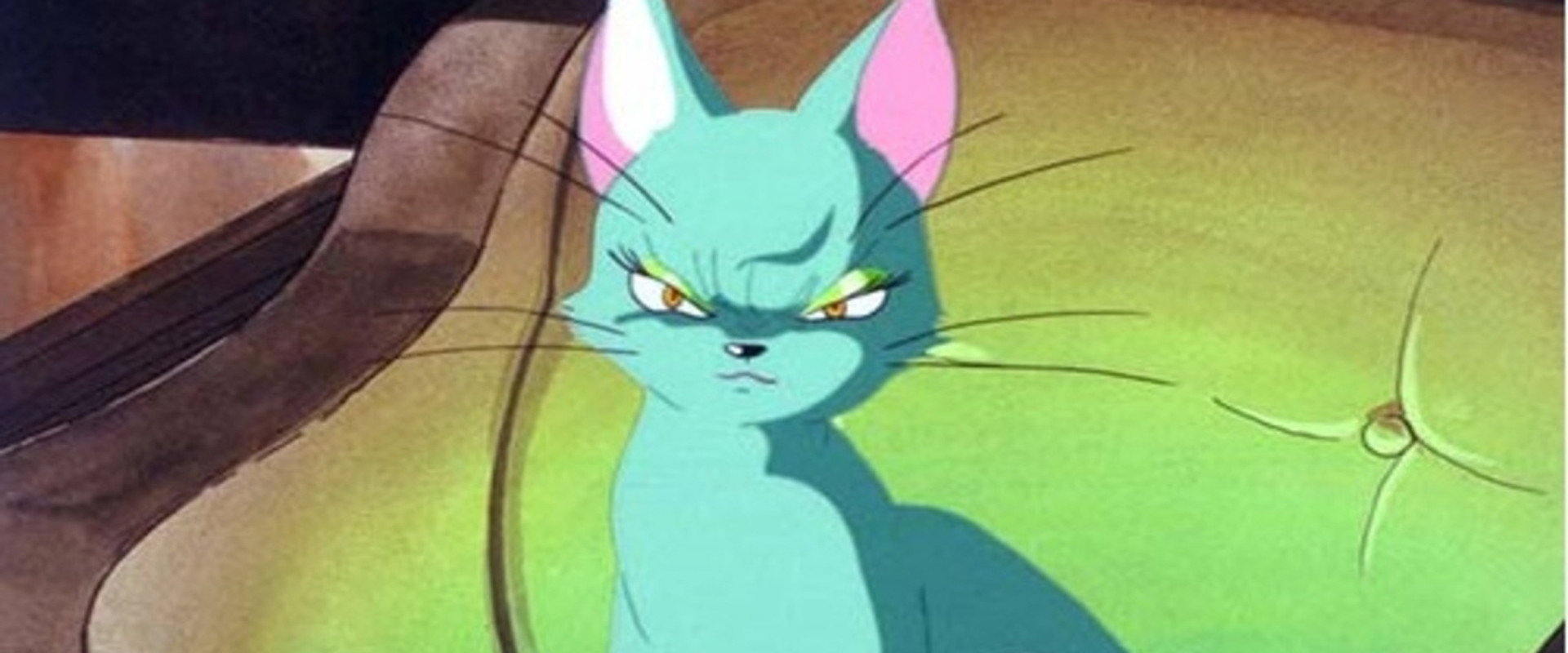 The Green Cat backdrop