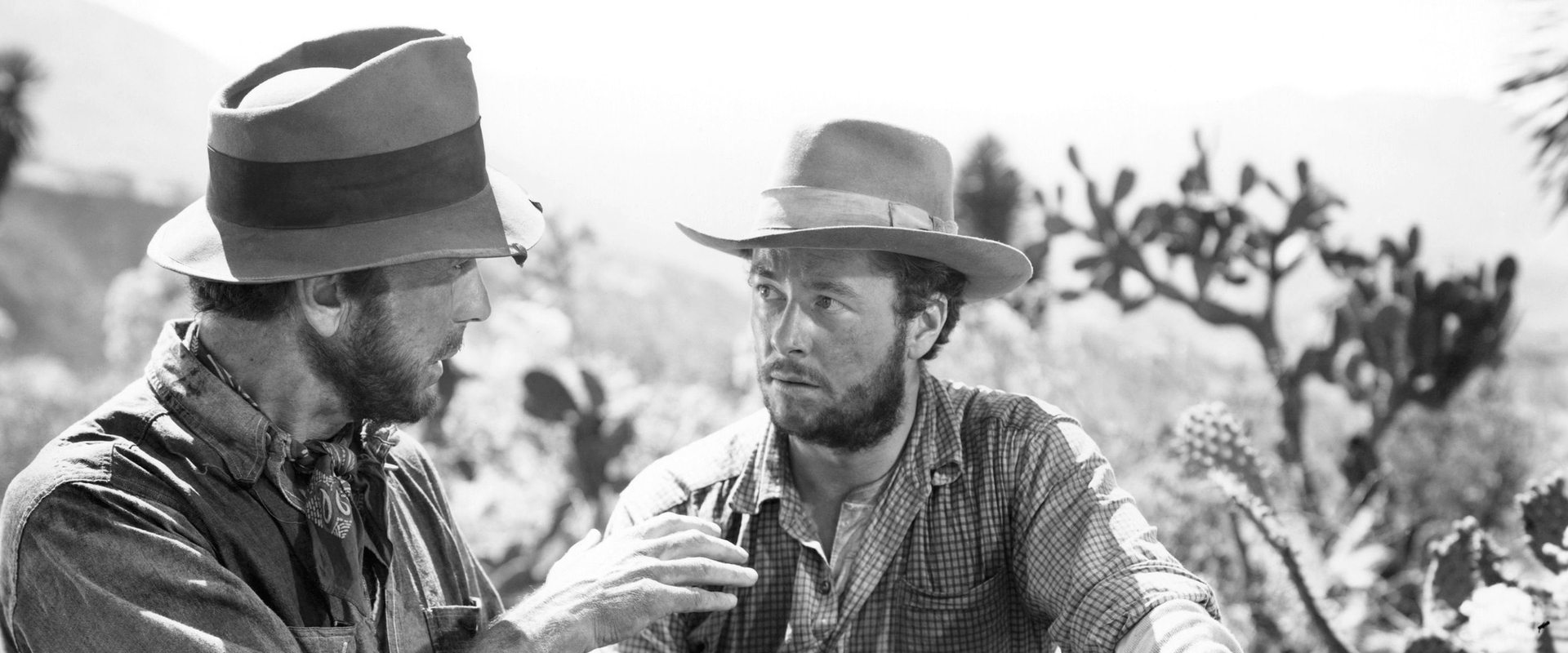 The Treasure of the Sierra Madre backdrop