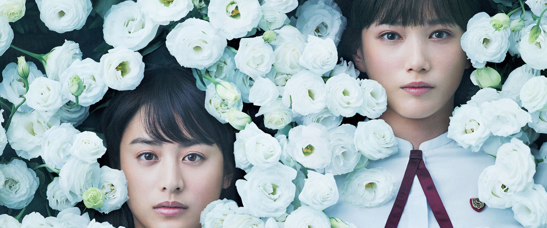 Night's Tightrope backdrop