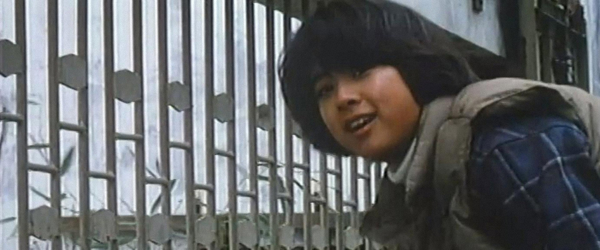 The Panda Story backdrop