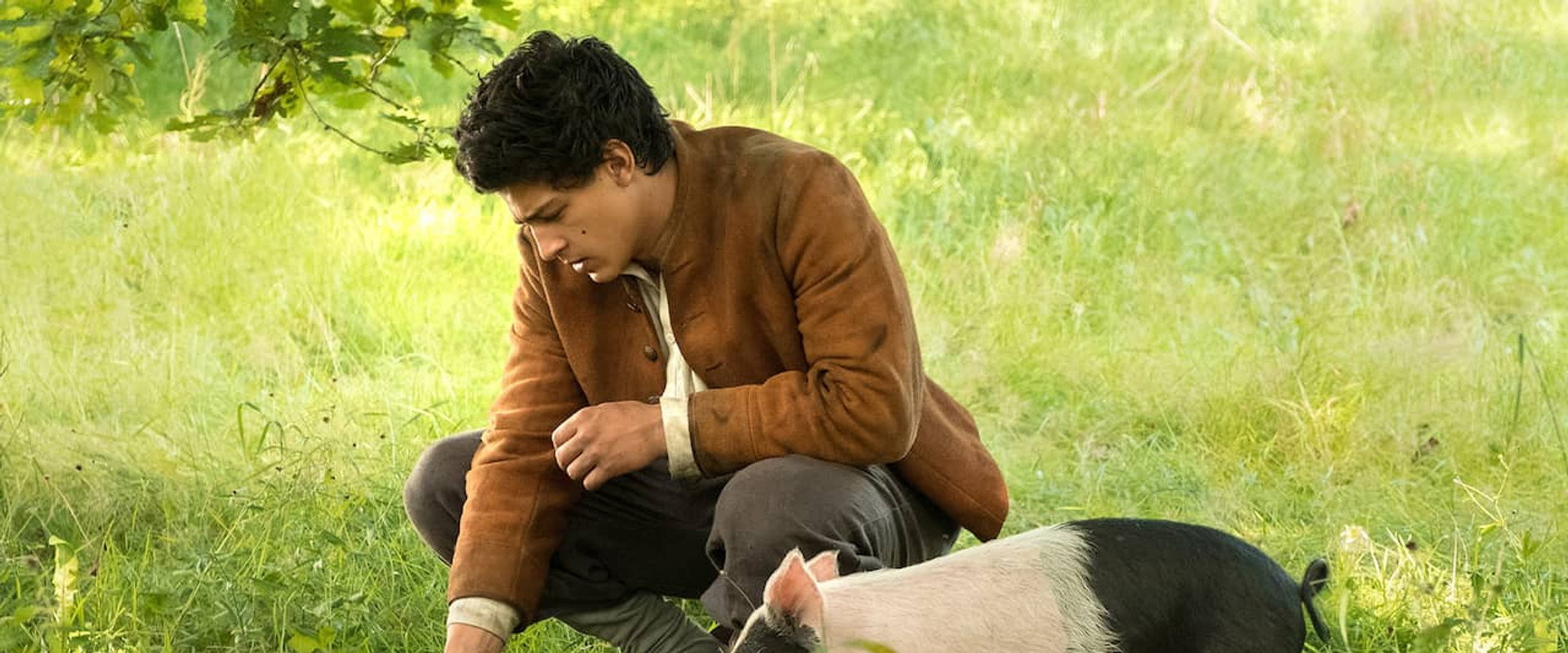 Der Schweinehirt backdrop