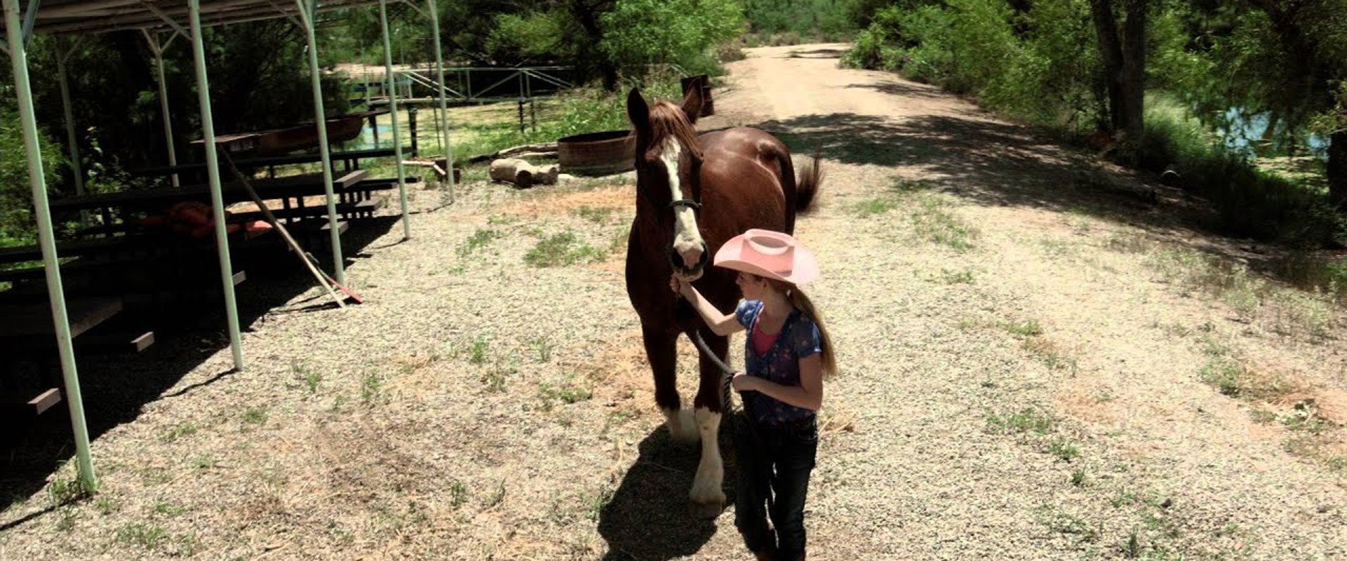 A Horse Story backdrop