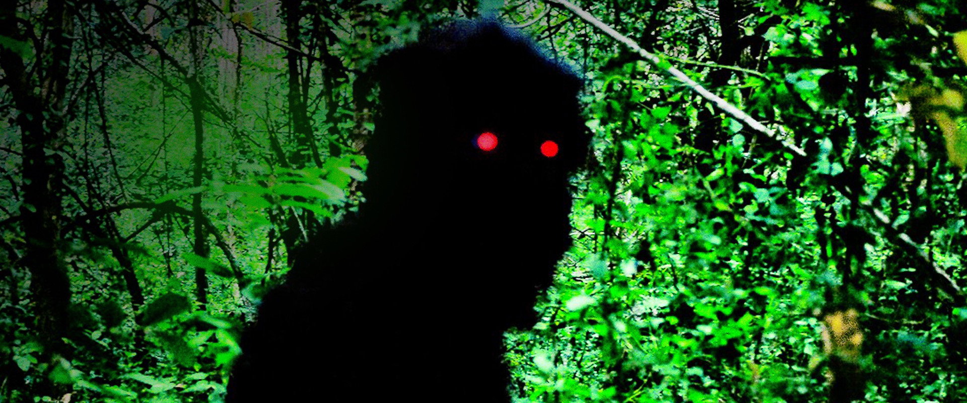 Uncle Boonmee Who Can Recall His Past Lives backdrop