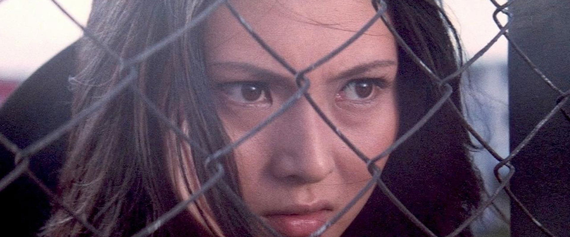 Stray Cat Rock: Sex Hunter backdrop