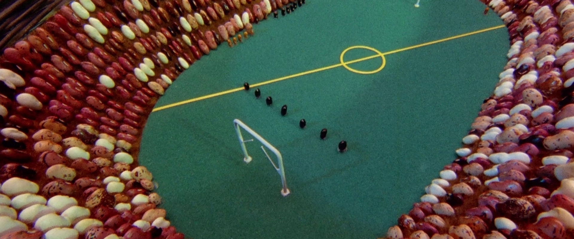 Scenes with Beans backdrop