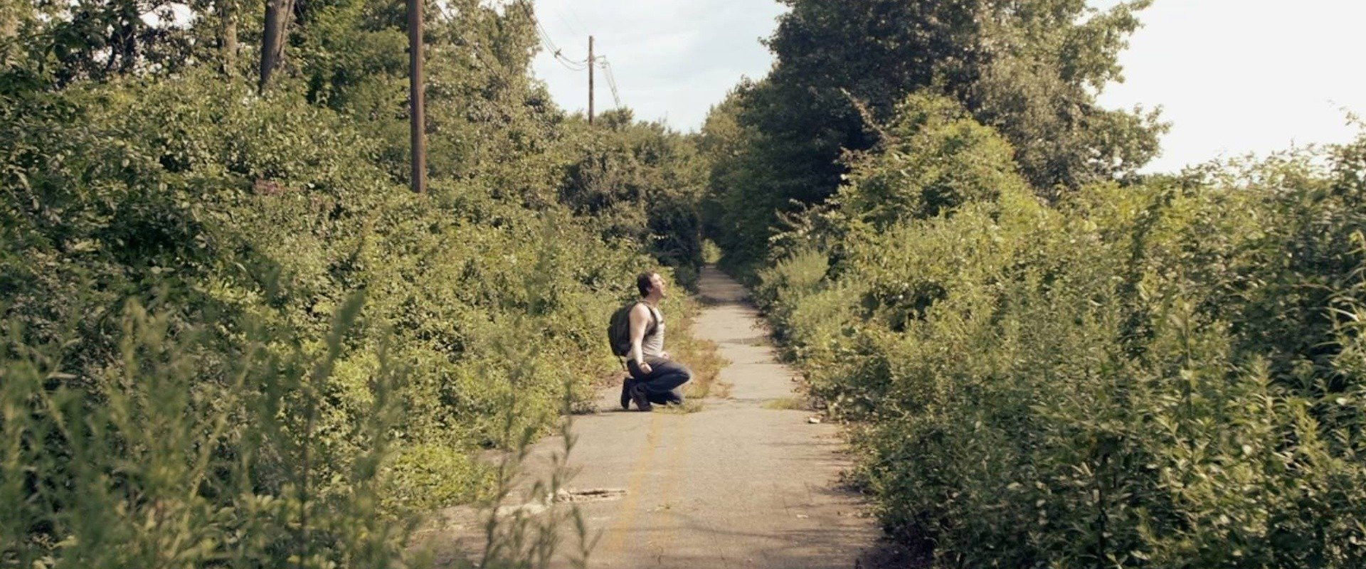 When Everything's Gone backdrop