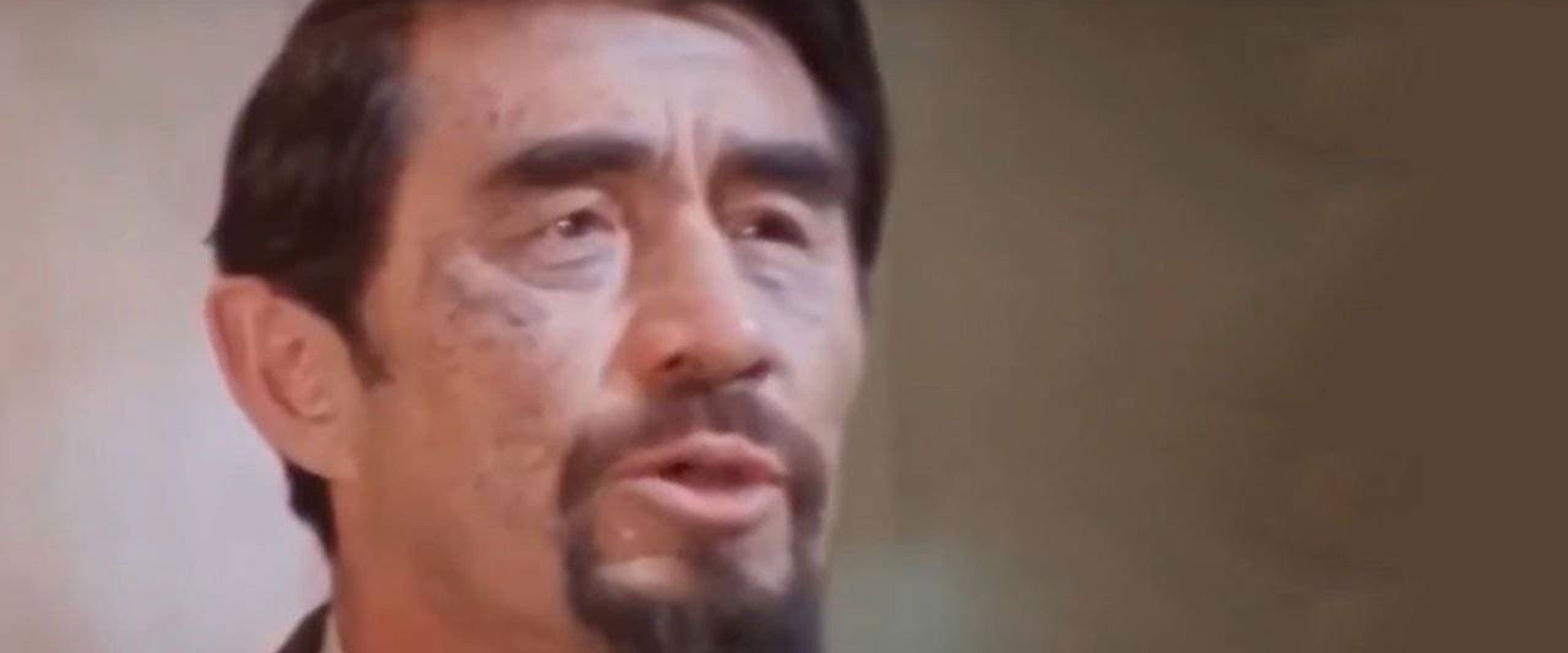 Steppe Roar backdrop