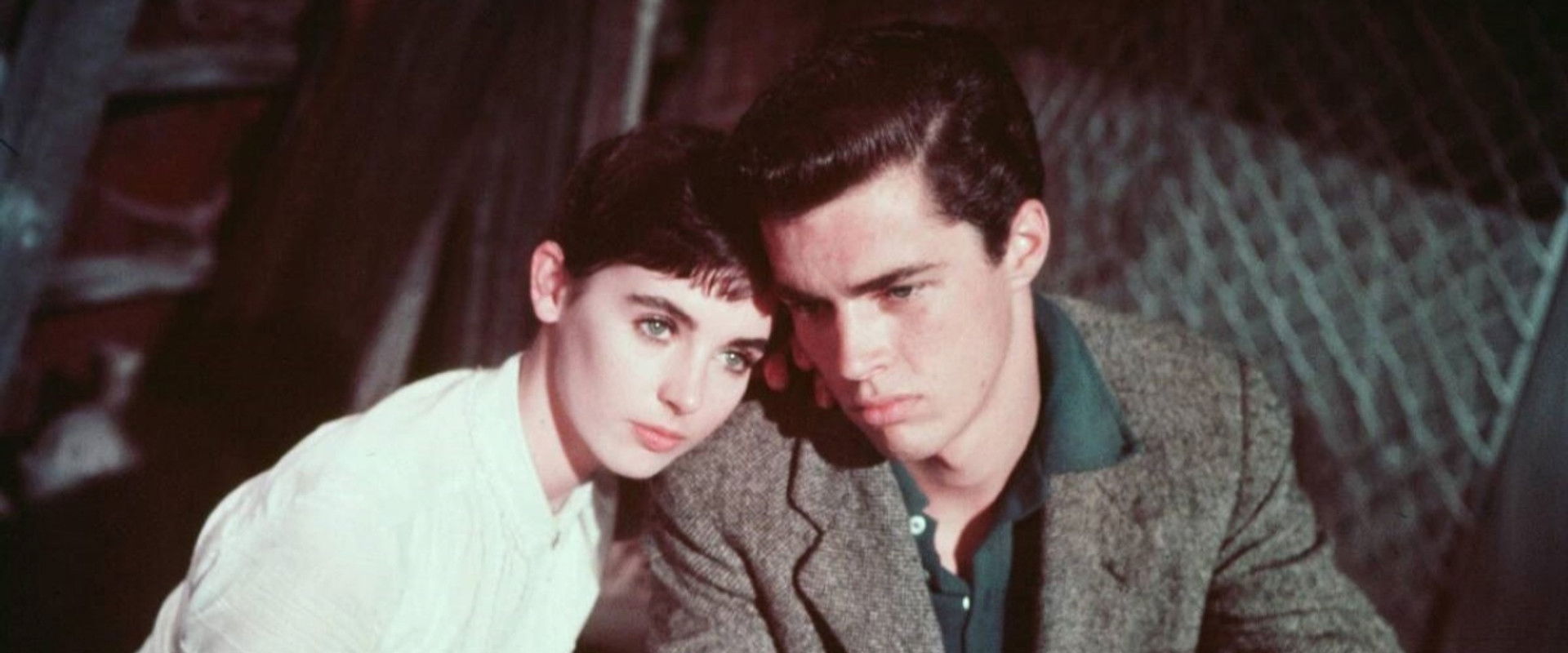 The Diary of Anne Frank backdrop