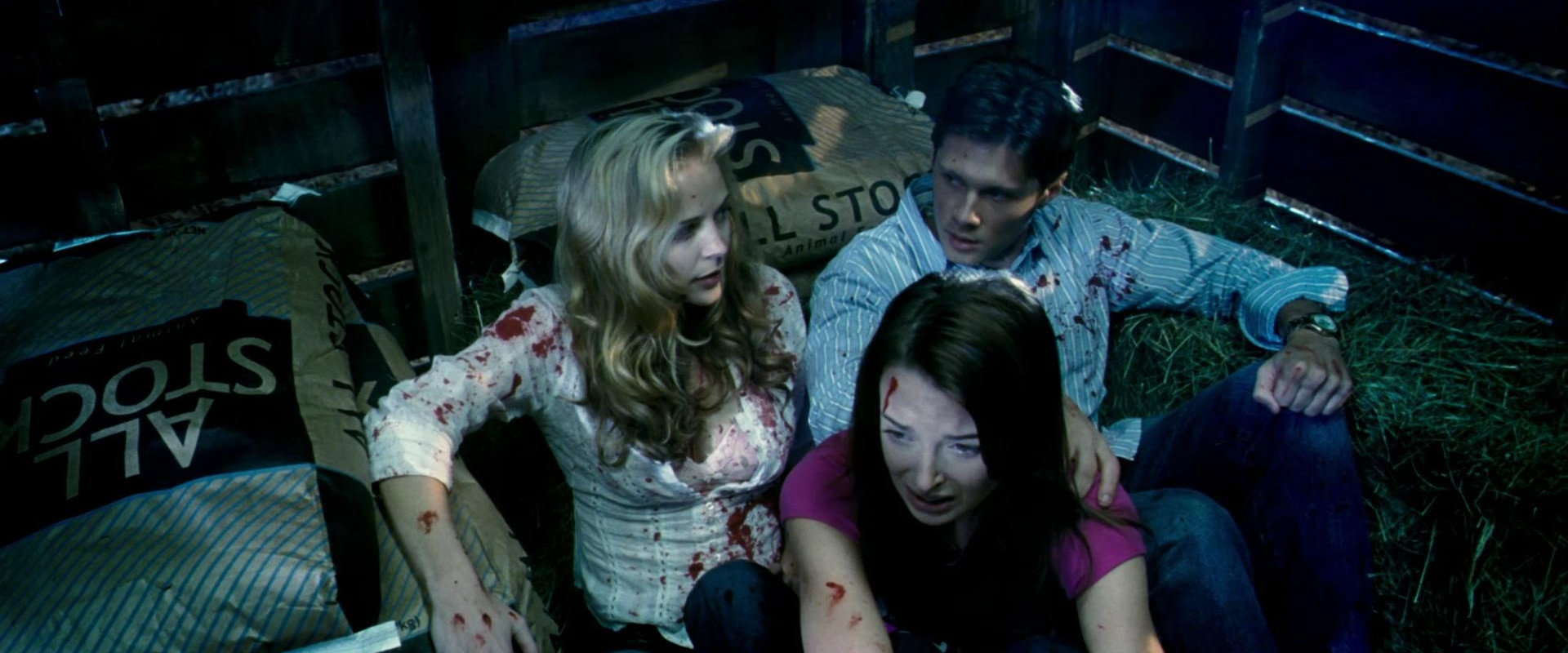 Grizzly Park backdrop