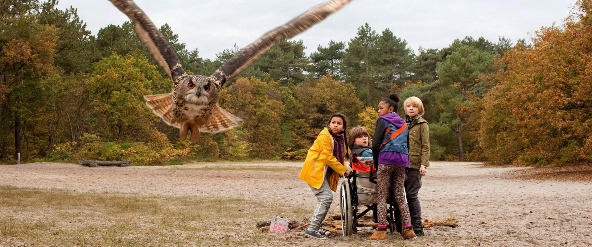 Owls & Mice backdrop