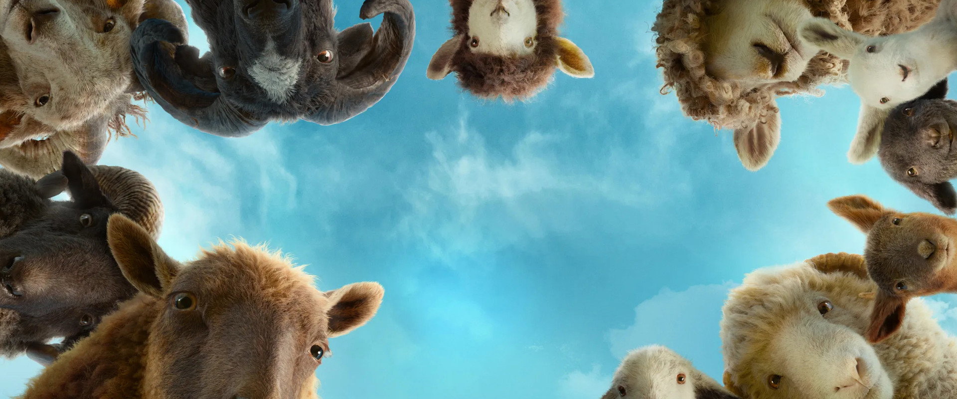 The Sheep Detectives backdrop