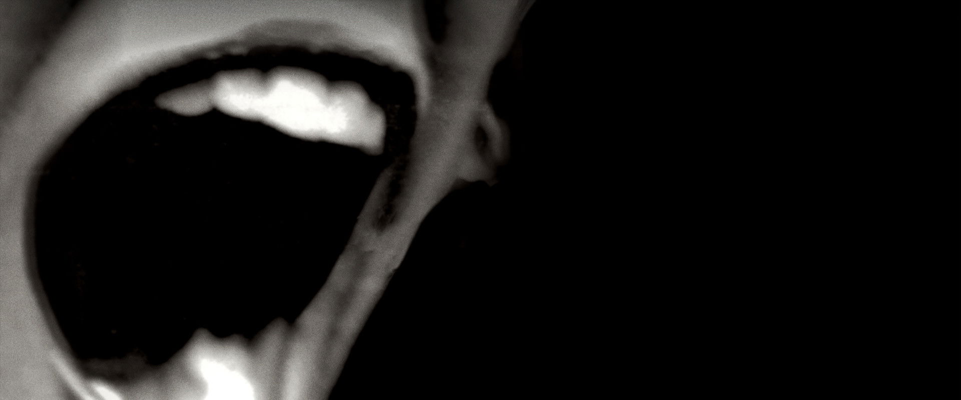 Silent Scream backdrop