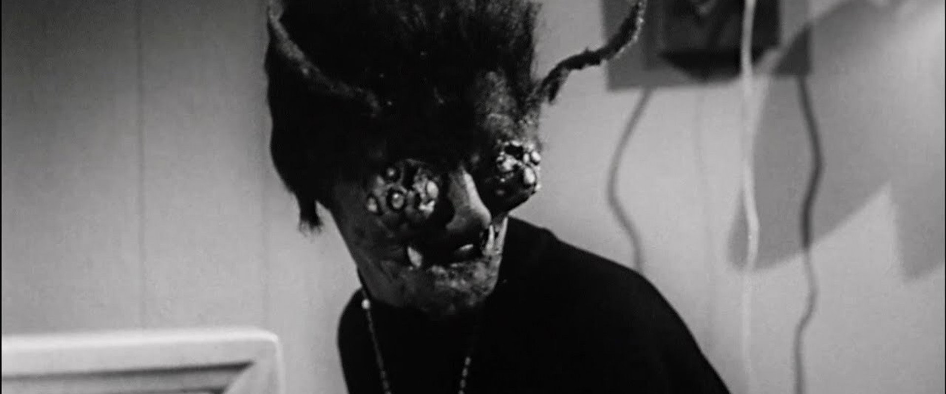 The Wasp Woman backdrop